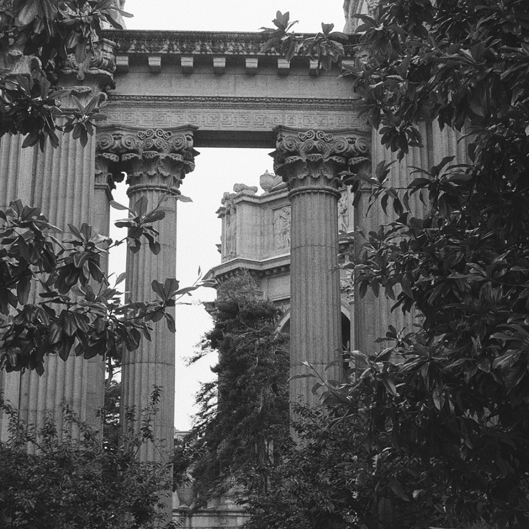 Black and White Film portfolio image