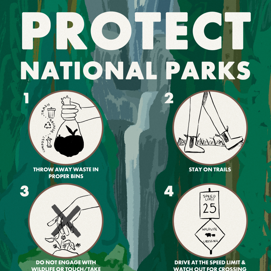 Protect Natonal Parks portfolio image